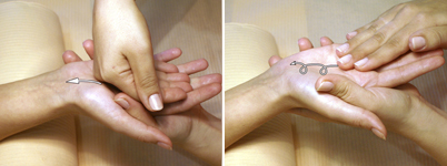 Steps 5 & 6 Steps 5 & 6